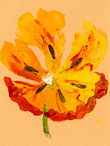 Parkiettulp