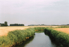 Landschap in De Marne